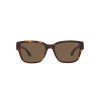 Ralph Lauren RL 8205 (500373)