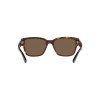 Ralph Lauren RL 8205 (500373)