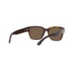 Ralph Lauren RL 8205 (500373)