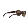 Ralph Lauren RL 8205 (500373)