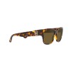 Ralph Lauren RL 8205 (513480)