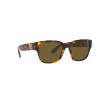 Ralph Lauren RL 8205 (513480)