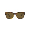 Ralph Lauren RL 8205 (513480)