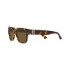 Ralph Lauren RL 8205 (513480)