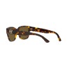 Ralph Lauren RL 8205 (513480)