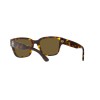 Ralph Lauren RL 8205 (513480)