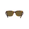 Ralph Lauren RL 8205 (513480)