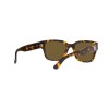 Ralph Lauren RL 8205 (513480)