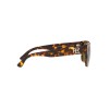 Ralph Lauren RL 8205 (513480)