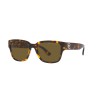 Ralph Lauren RL 8205 (513480)