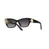 Ralph Lauren RL 8206U (50018G)