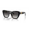 Ralph Lauren The Isabel RL 8216U (50018G)