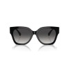 Ralph Lauren The Overszed Ricky RL 8221 (50018G)