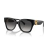 Ralph Lauren The Overszed Ricky RL 8221 (50018G)