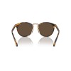 Ralph Lauren The Quincy RL 8223 (513453)