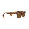 Ray-Ban RB 0880S (664057)