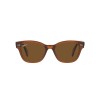 Ray-Ban RB 0880S (664057)
