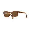 Ray-Ban RB 0880S (664057)