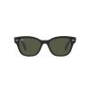 Ray-Ban RB 0880S (901/31)