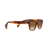 Ray-Ban RB 0880S (954/51)
