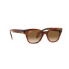 Ray-Ban RB 0880S (954/51)