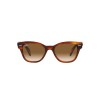 Ray-Ban RB 0880S (954/51)