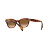 Ray-Ban RB 0880S (954/51)