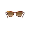 Ray-Ban RB 0880S (954/51)