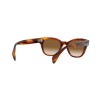 Ray-Ban RB 0880S (954/51)