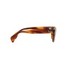Ray-Ban RB 0880S (954/51)