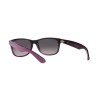 Ray-Ban New Wayfarer RB 2132 (6606M3)