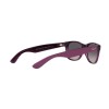 Ray-Ban New Wayfarer RB 2132 (6606M3)