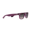 Ray-Ban New Wayfarer RB 2132 (6606M3)
