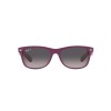 Ray-Ban New Wayfarer RB 2132 (6606M3)
