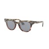 Ray-Ban Meteor RB 2168 (1254Y5)