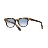 Ray-Ban Meteor RB 2168 (13323F)