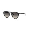 Ray-Ban RB 2180 (601/11)
