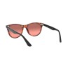 Ray-Ban Wayfarer II Washed Evolve RB 2185 (1249AA)