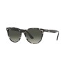 Ray-Ban Wayfarer ii RB 2185 (133371)