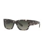 Ray-Ban Wayfarer nomad RB 2187 (133371)