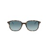 Ray-Ban Leonard RB 2193 (13163M)