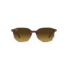 Ray-Ban Leonard RB 2193 (138085)