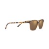 Ray-Ban Leonard RB 2193 (663693)