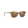 Ray-Ban Leonard RB 2193 (663693)