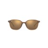 Ray-Ban Leonard RB 2193 (663693)