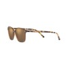 Ray-Ban Leonard RB 2193 (663693)