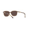 Ray-Ban Leonard RB 2193 (663693)