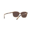 Ray-Ban Leonard RB 2193 (663693)
