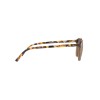 Ray-Ban Leonard RB 2193 (663693)