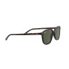 Ray-Ban Leonard RB 2193 (902/31)